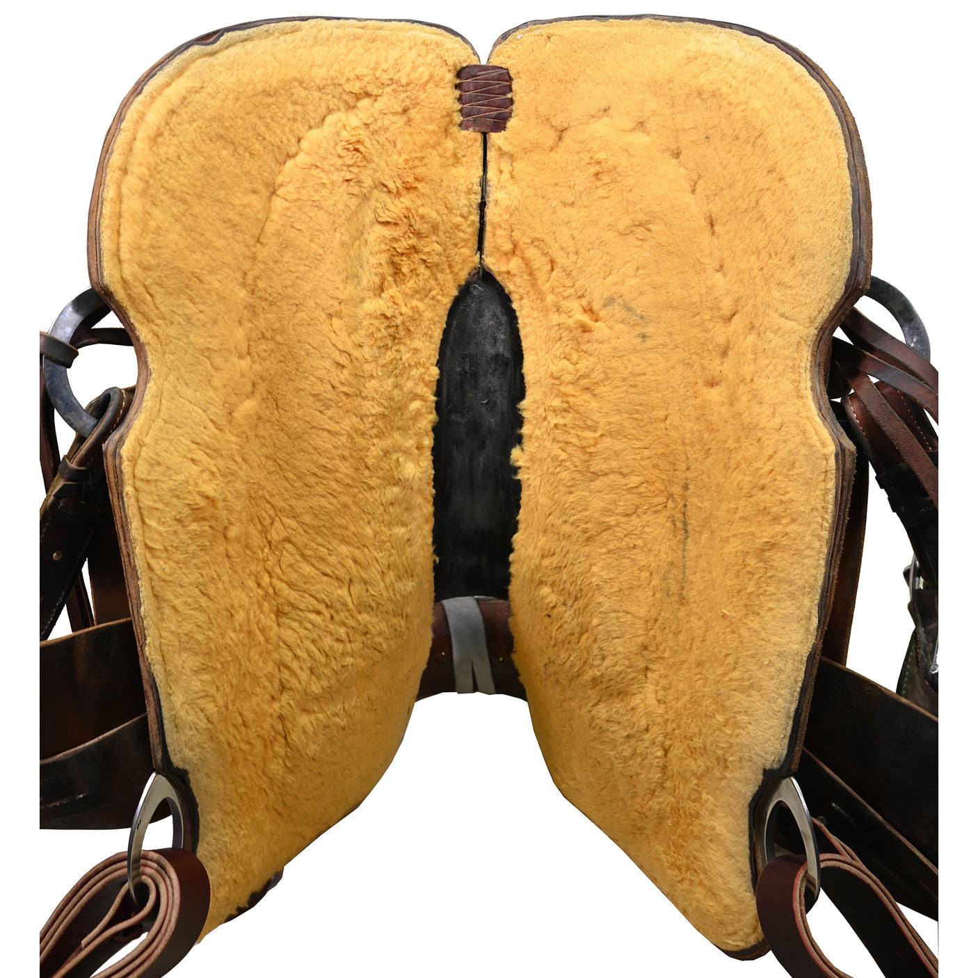 Used 15.5" Cactus Working Cowhorse Saddle