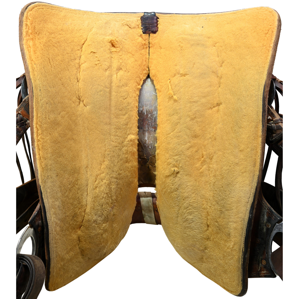 Used 15.5" Cactus Ranch Saddle