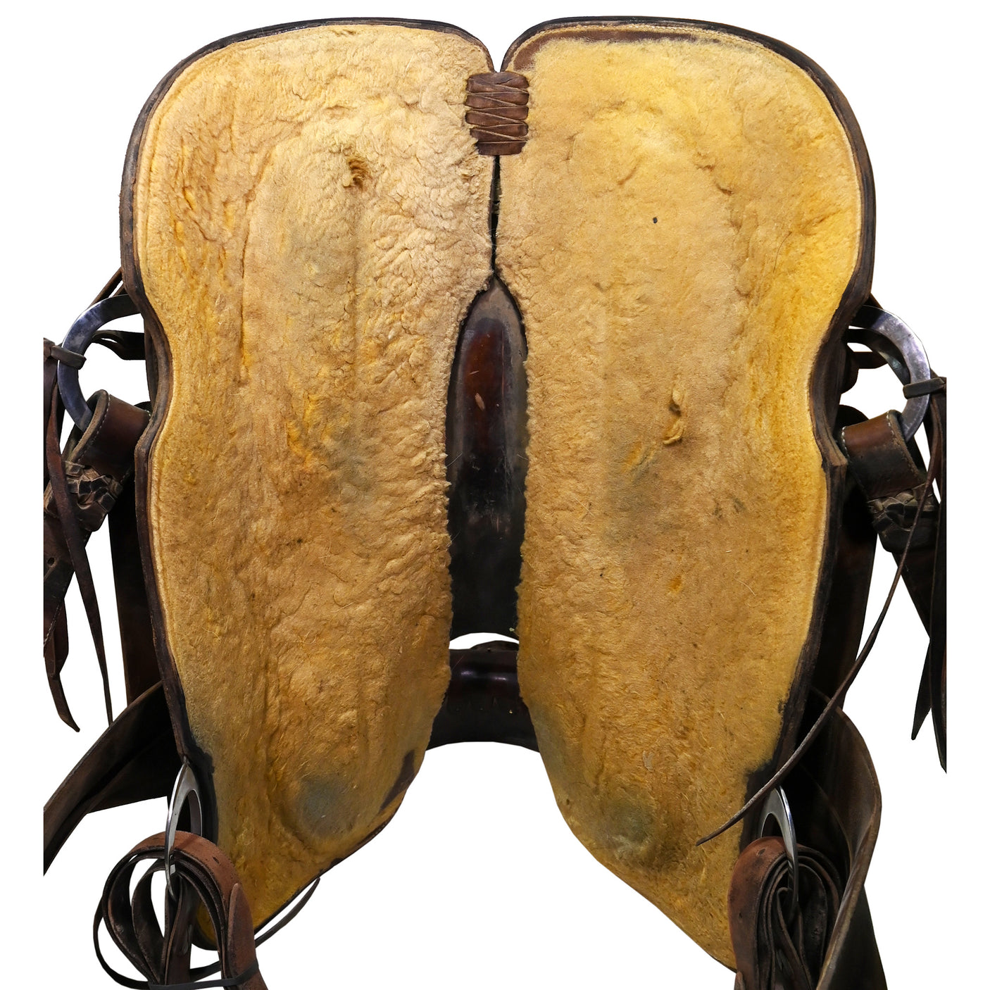 SOLD! Used 16" Cactus Ranch Saddle with Lewis Tree