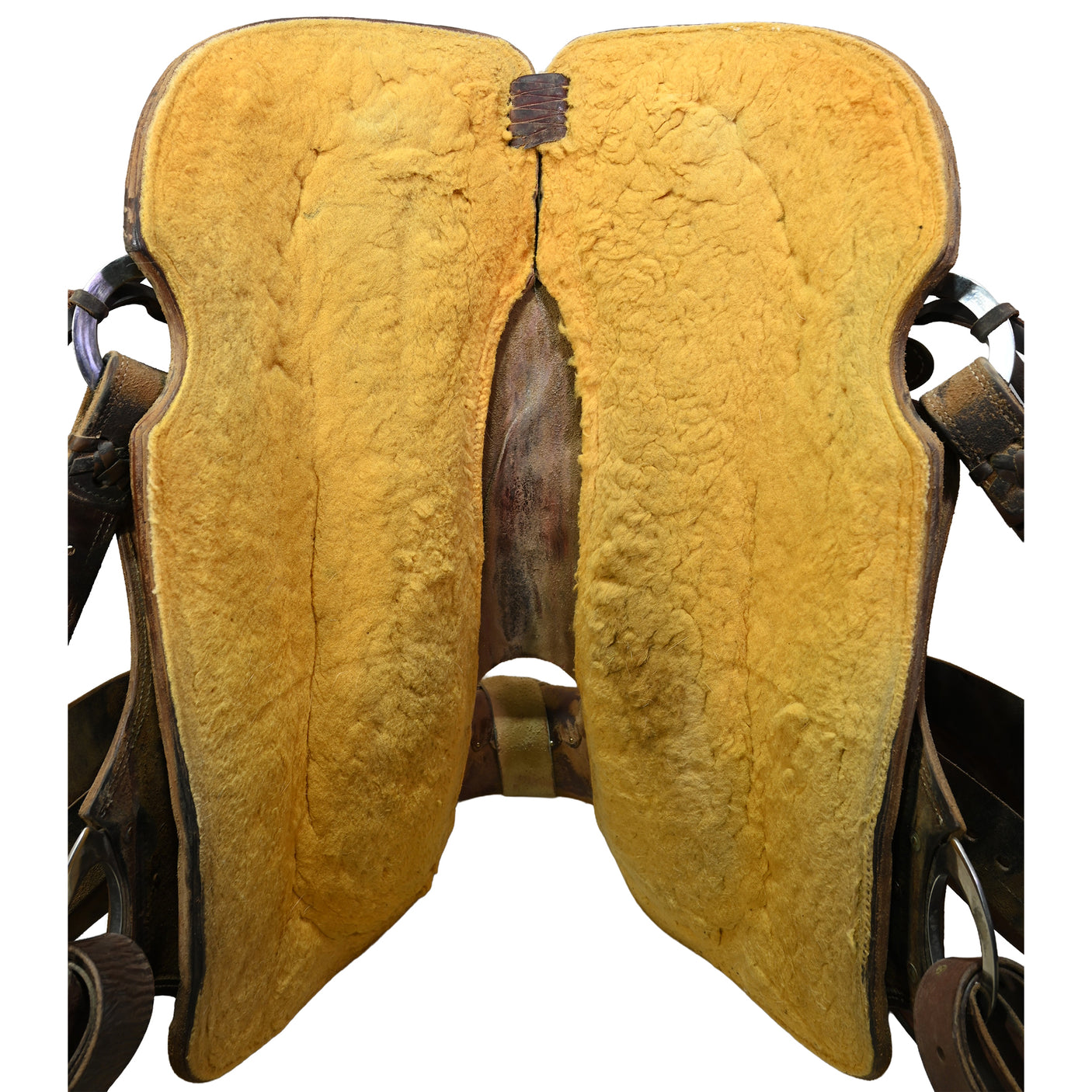 Used 16" Cactus Ranch Saddle