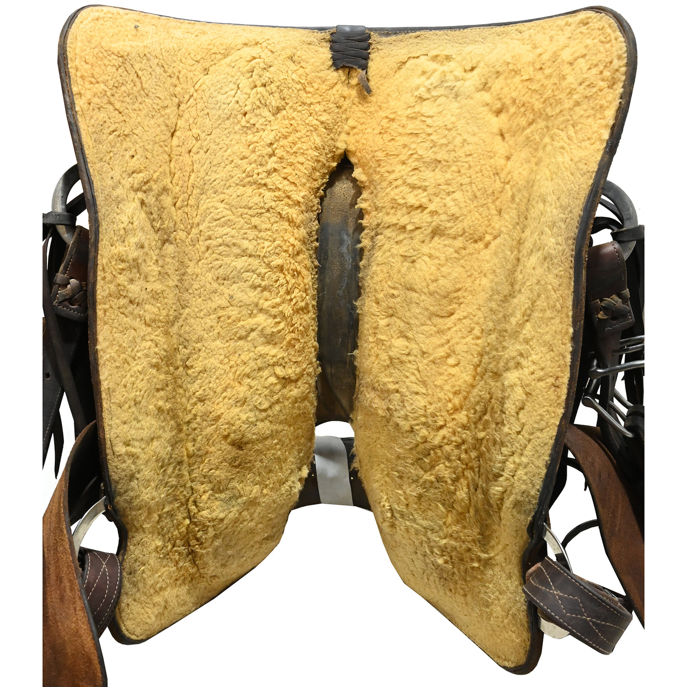 Used 16" Cactus Ranch Saddle