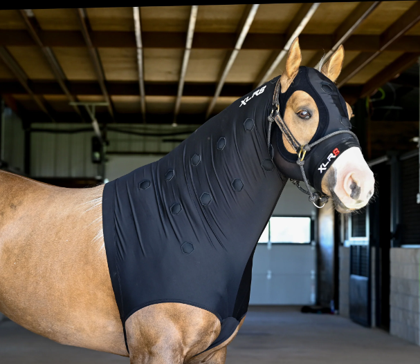 XLR8 Equine Velocity Hood