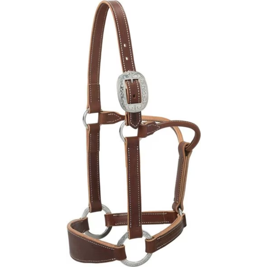 thumbnail image 2 of Weaver Leather® Breakaway Original Adjustable Chin & Throat Snap Halter | Dover Saddlery 2 of 11