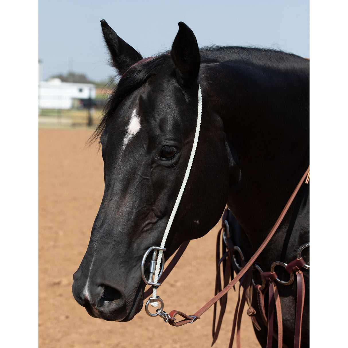 Professional's Choice Smooth Snaffle Draw Gag Bit