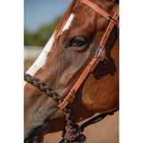 Professional's Choice Loping Hackamore