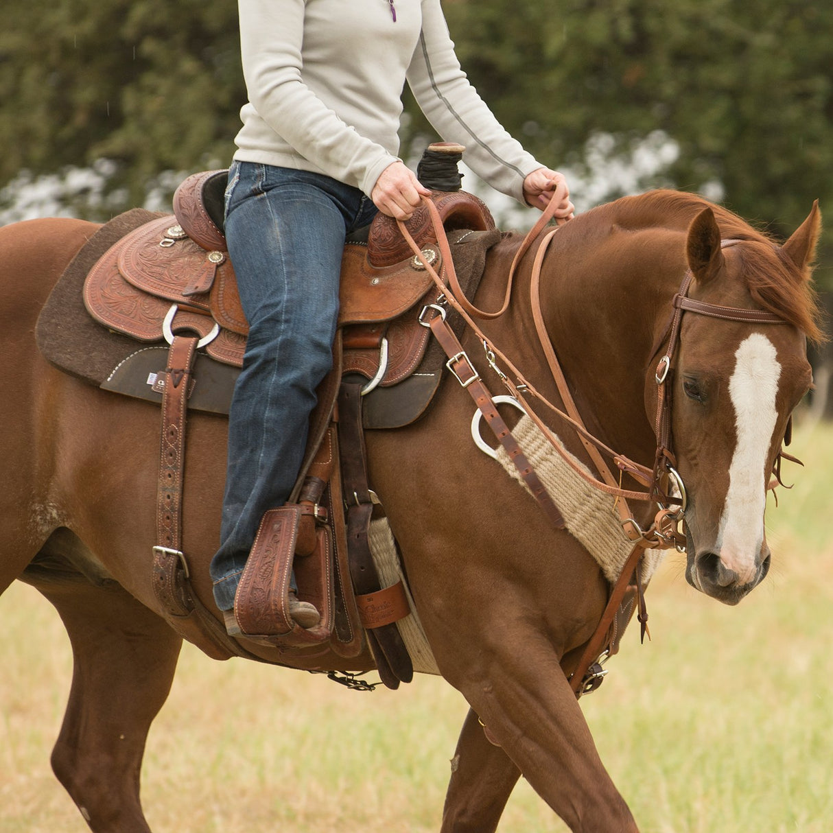 Classic Equine Alpaca 3/4" Felt Saddle Pad 30" X 32"