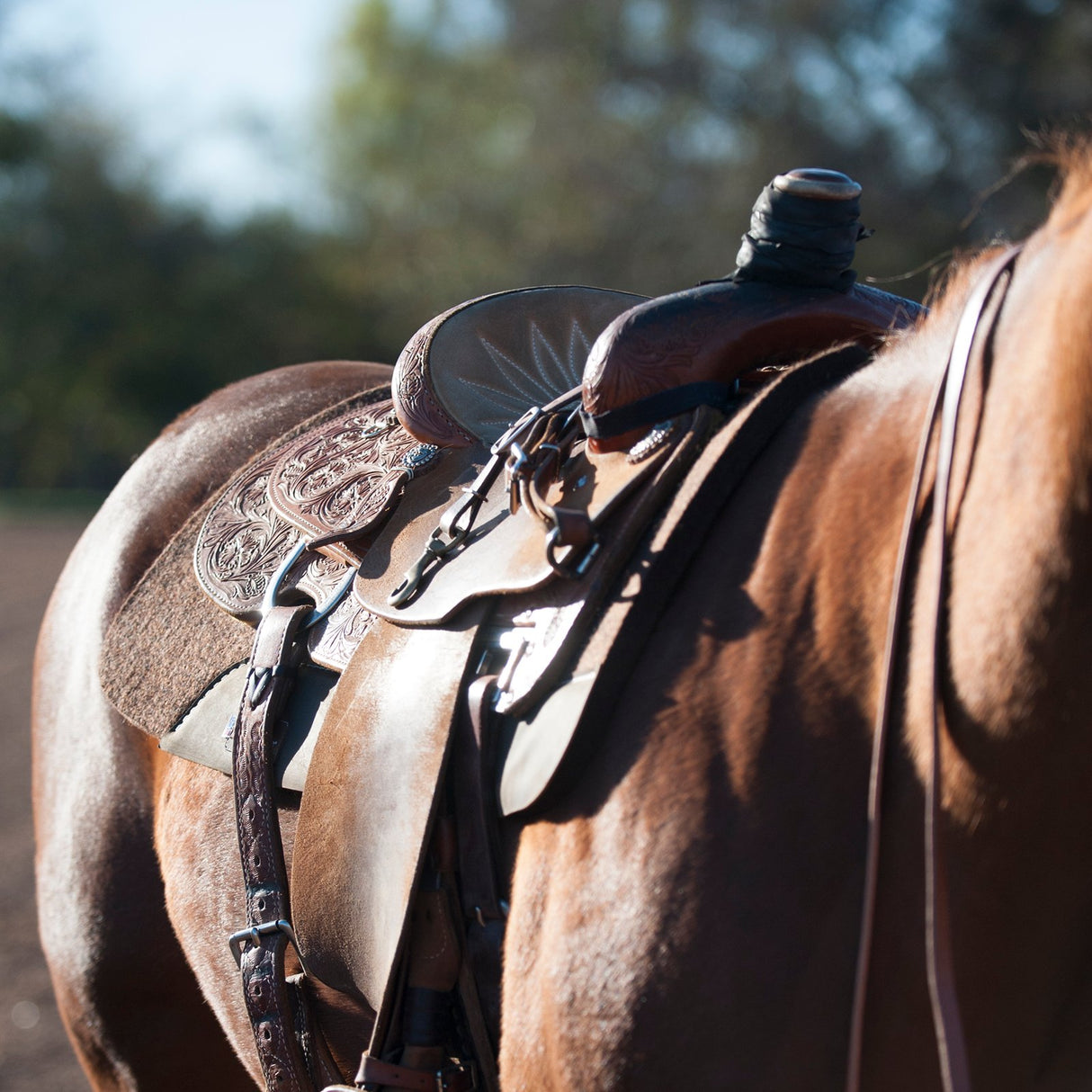 Classic Equine 31" x 32" Alpaca Felt Pad- 1"