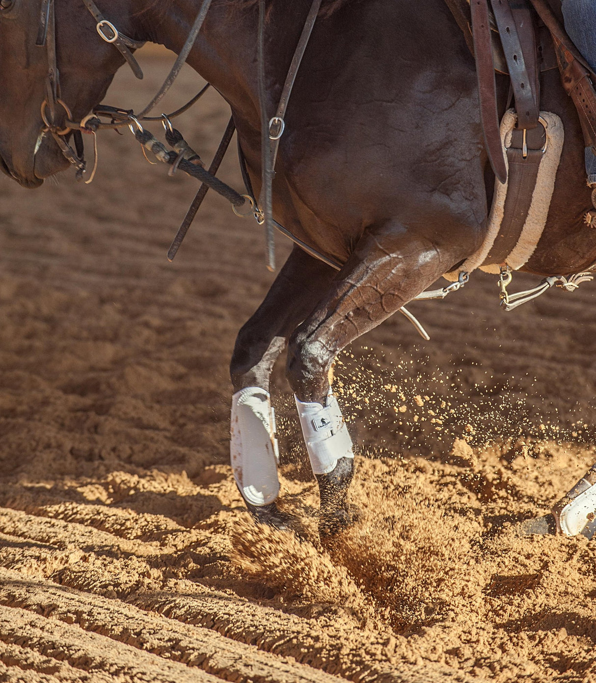 Classic Equine Air WaveFront Splint Boots- White