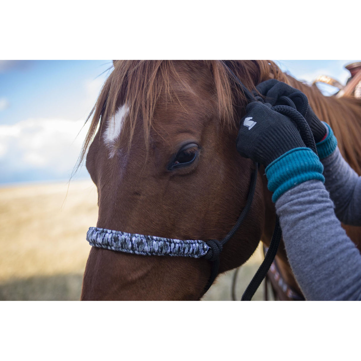 Classic Equine Barn Gloves (Comes in Pair)