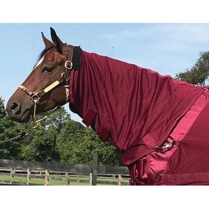 Back on Track Mesh Neck Cover- Wine