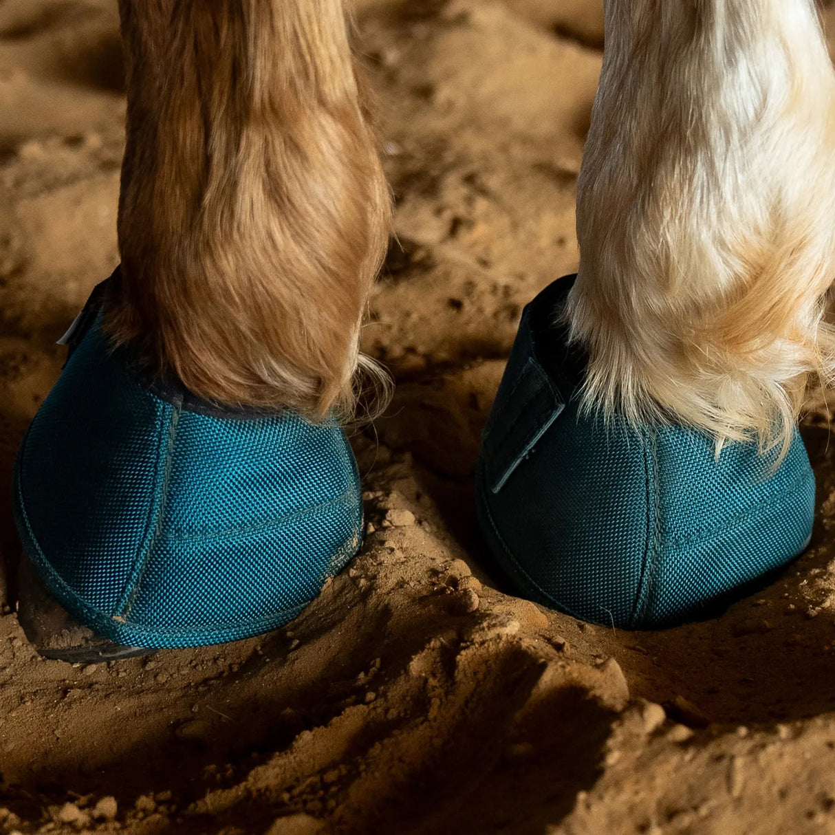 Classic Equine Dyno Bell Boots- Dragonfly