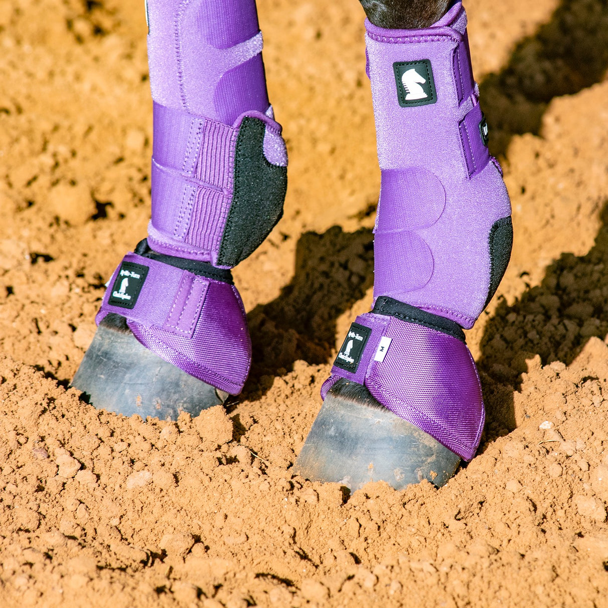 Classic Equine Dyno Bell Boots- Violet Purple