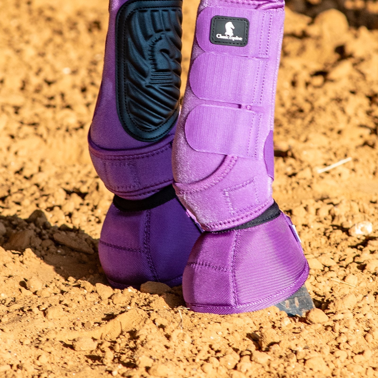 PIPPICHIC パープルチェック ミュール Classic Equine Dyno Bell Boots- Violet Purple