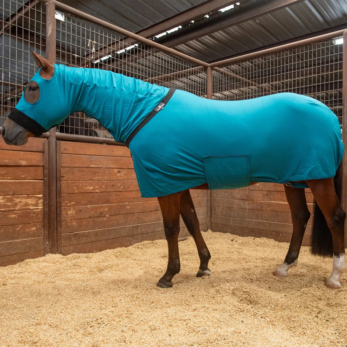 Classic Equine Full Body Slinky- Teal Green