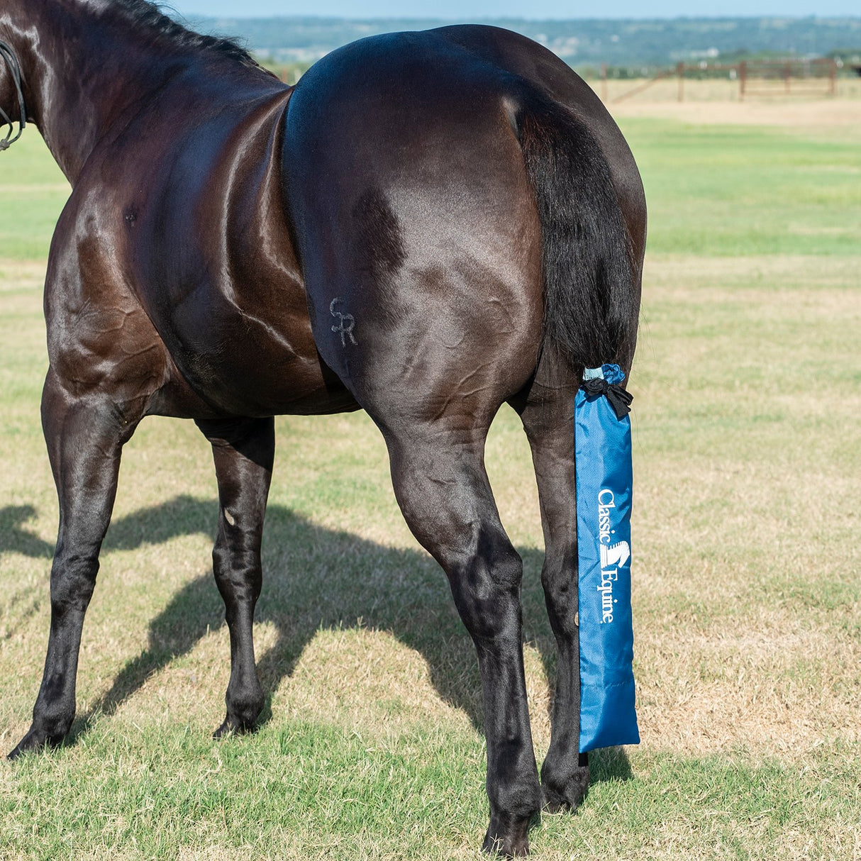 Classic Equine Slick Tail Bag- Dark Blue