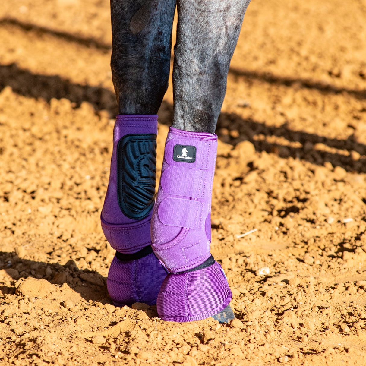 Classic Equine Classic Fit Front Boots- Violet Purple