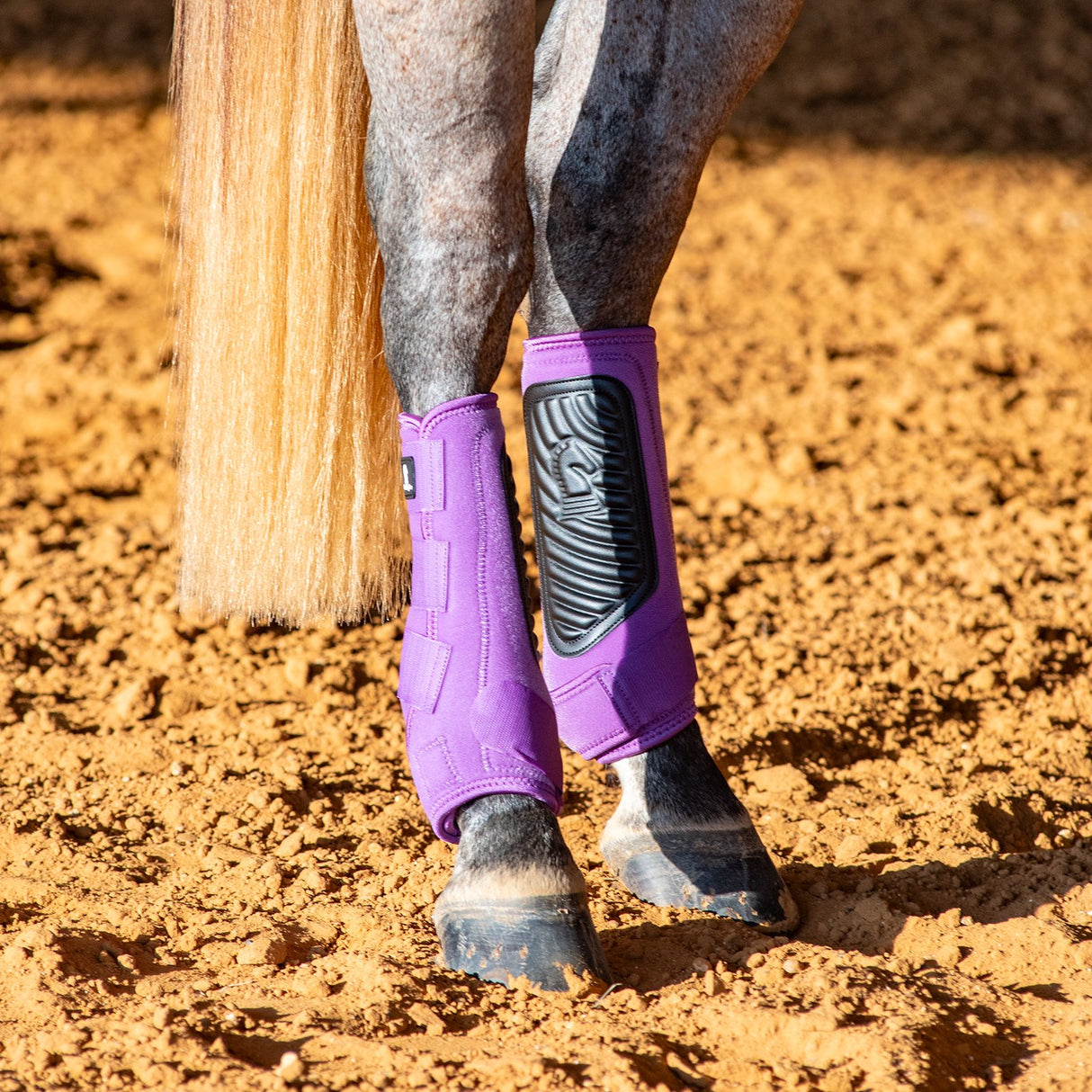 Classic Equine Classic Fit Hind Boots- Violet Purple