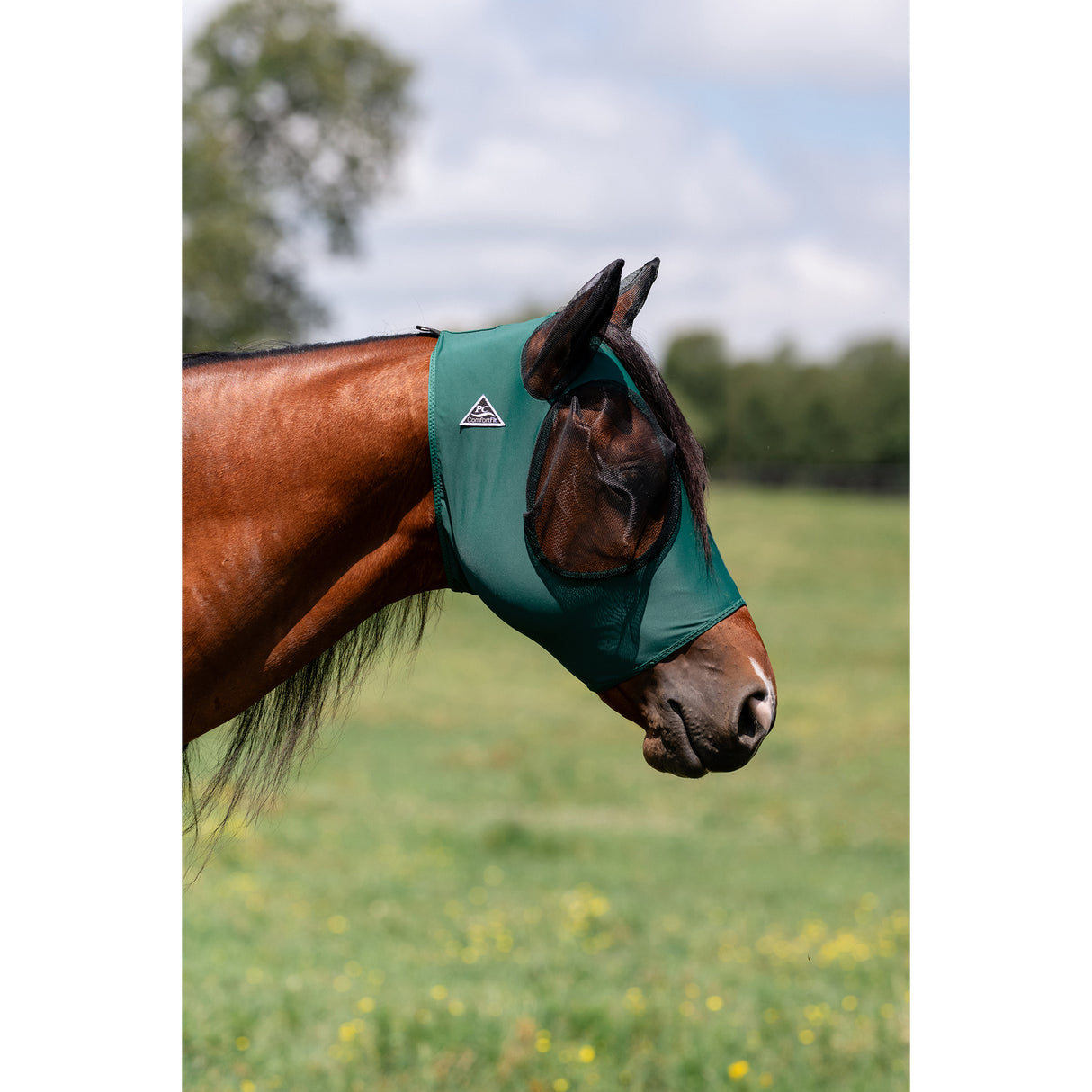 Professional's Choice Comfort Fit Lycra Fly Mask- Emerald