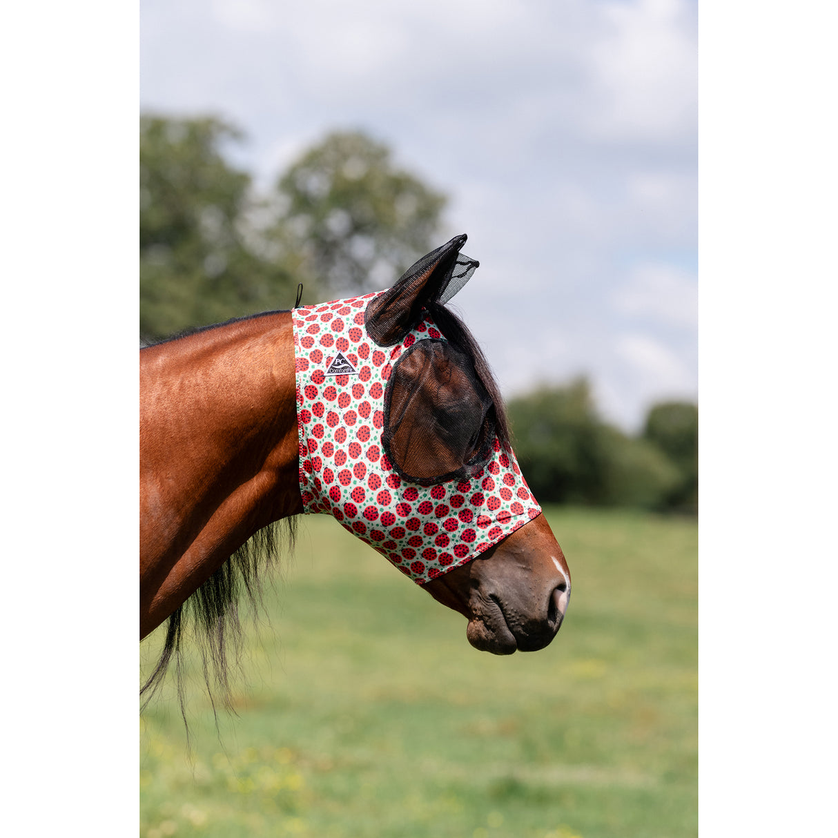 Professional's Choice Comfort Fit Lycra Fly Mask- Ladybug