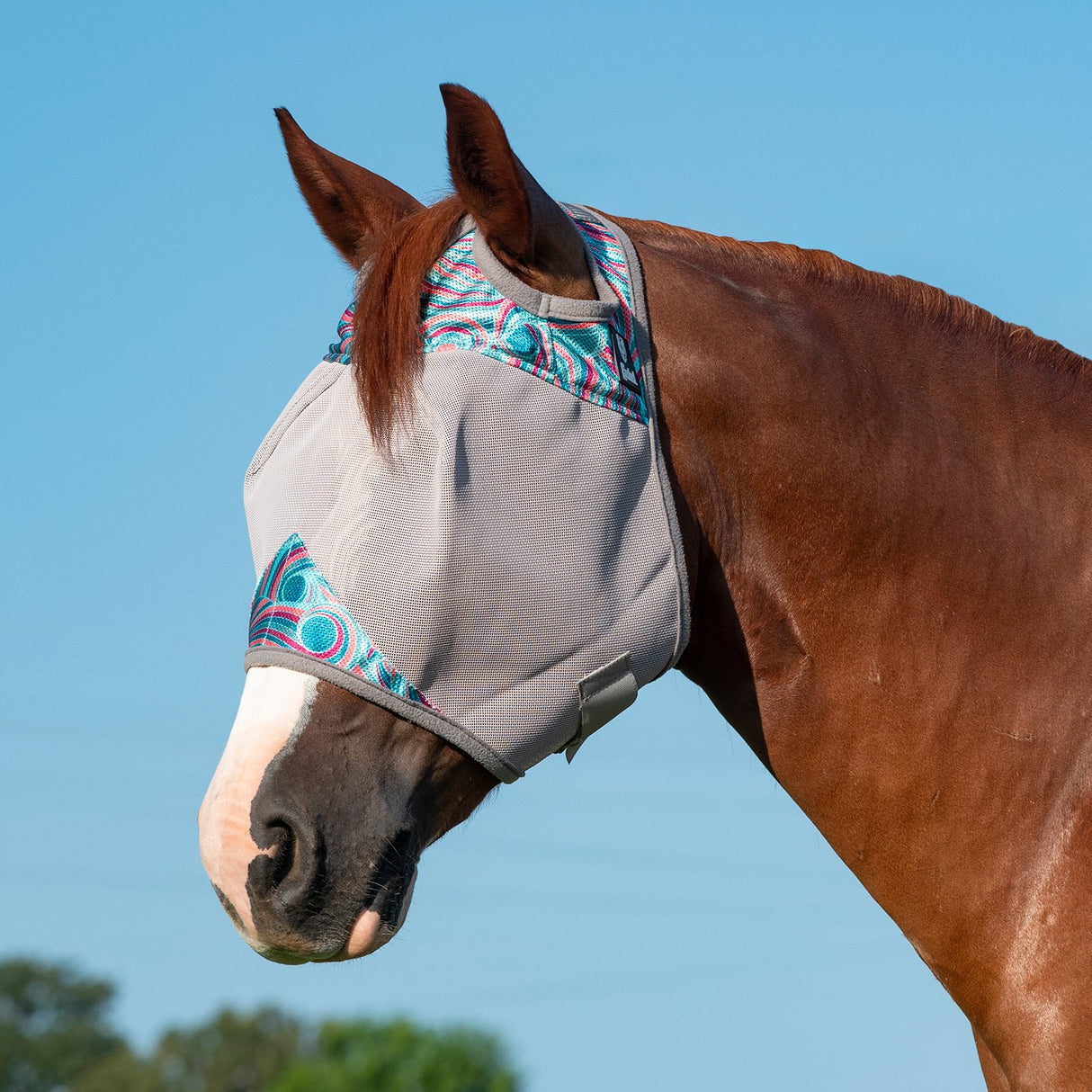 Cashel Pattered Crusader Standard Fly Mask- Breeze