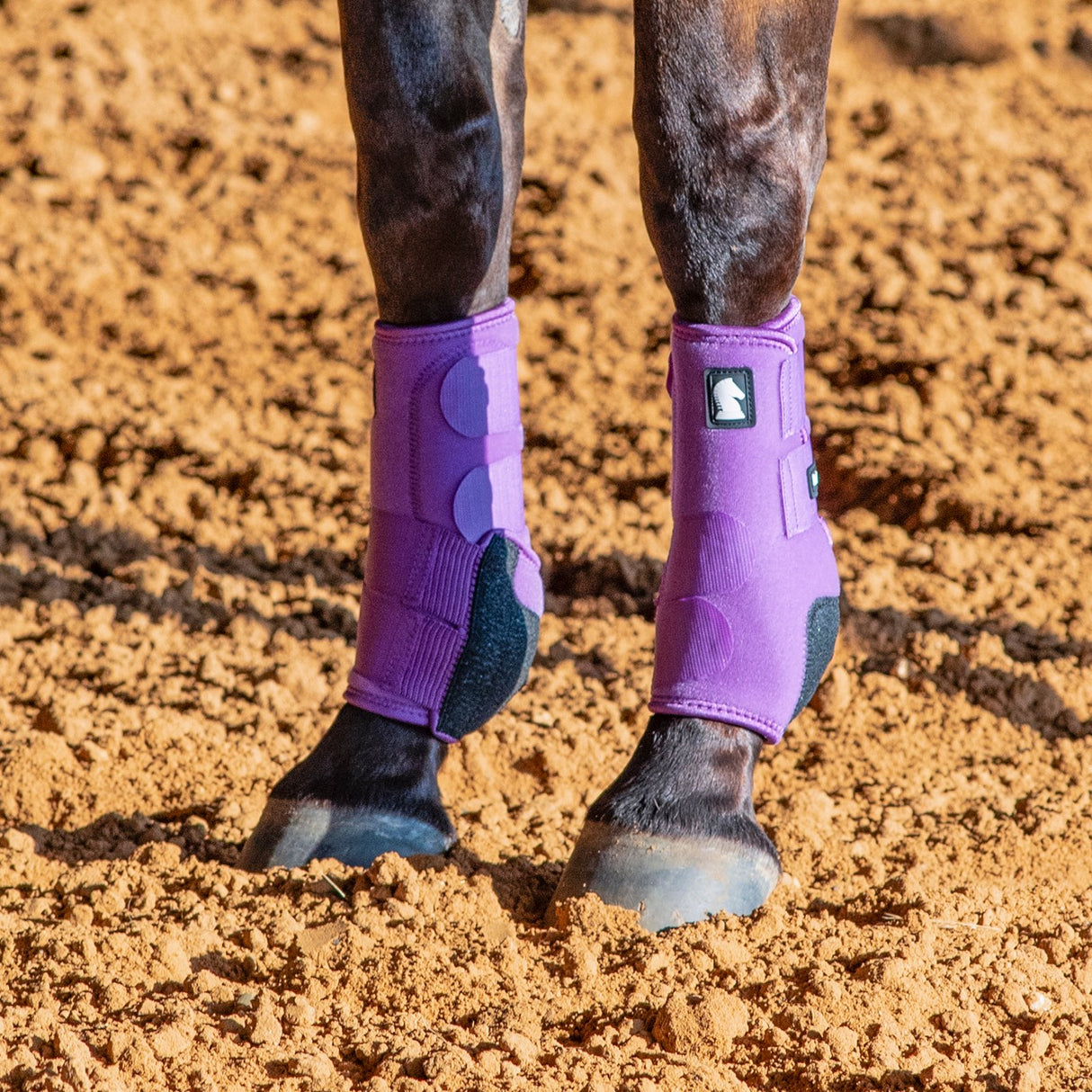 Classic Equine Legacy2 Front Protective Boots- Violet Purple