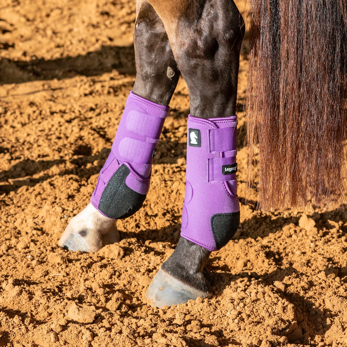 Classic Equine Legacy2 Hind Protective Boots- Violet Purple