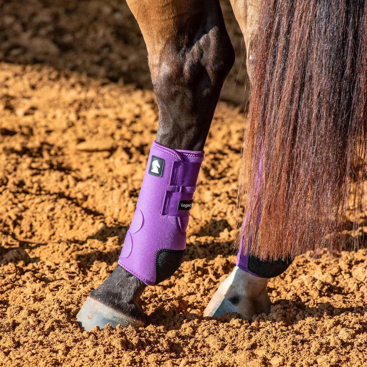 Classic Equine Legacy2 Hind Protective Boots- Violet Purple
