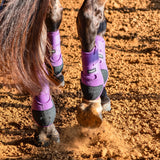 Classic Equine Legacy2 Front and Hind Boots Combo Pack- Violet Purple