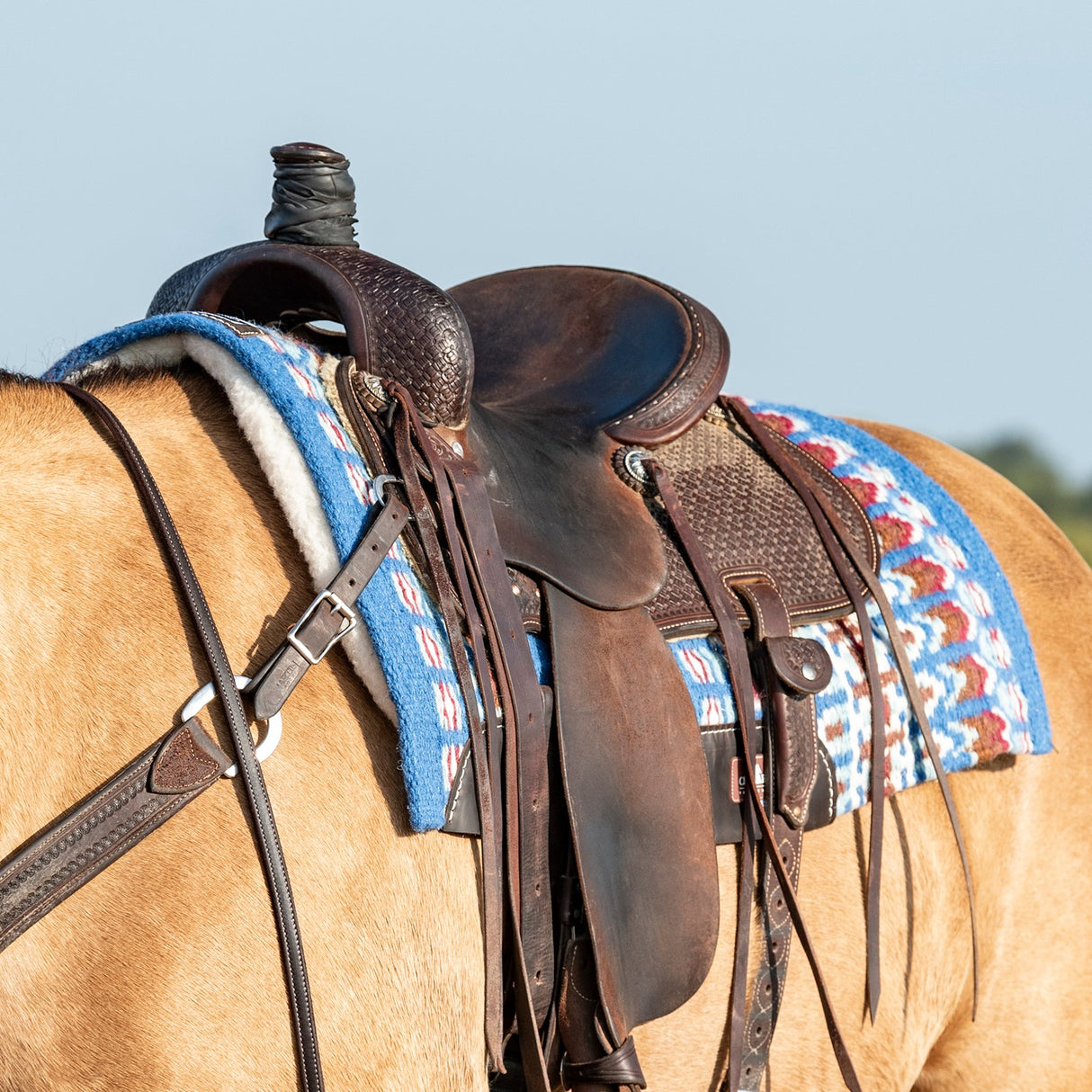 Classic Equine 1" Sensorflex Saddle Pad 34" X 38"- Ultramarine Blue/ Plume Blue