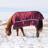 Classic Equine 10K Cross Trainer Turnout Blanket- Port