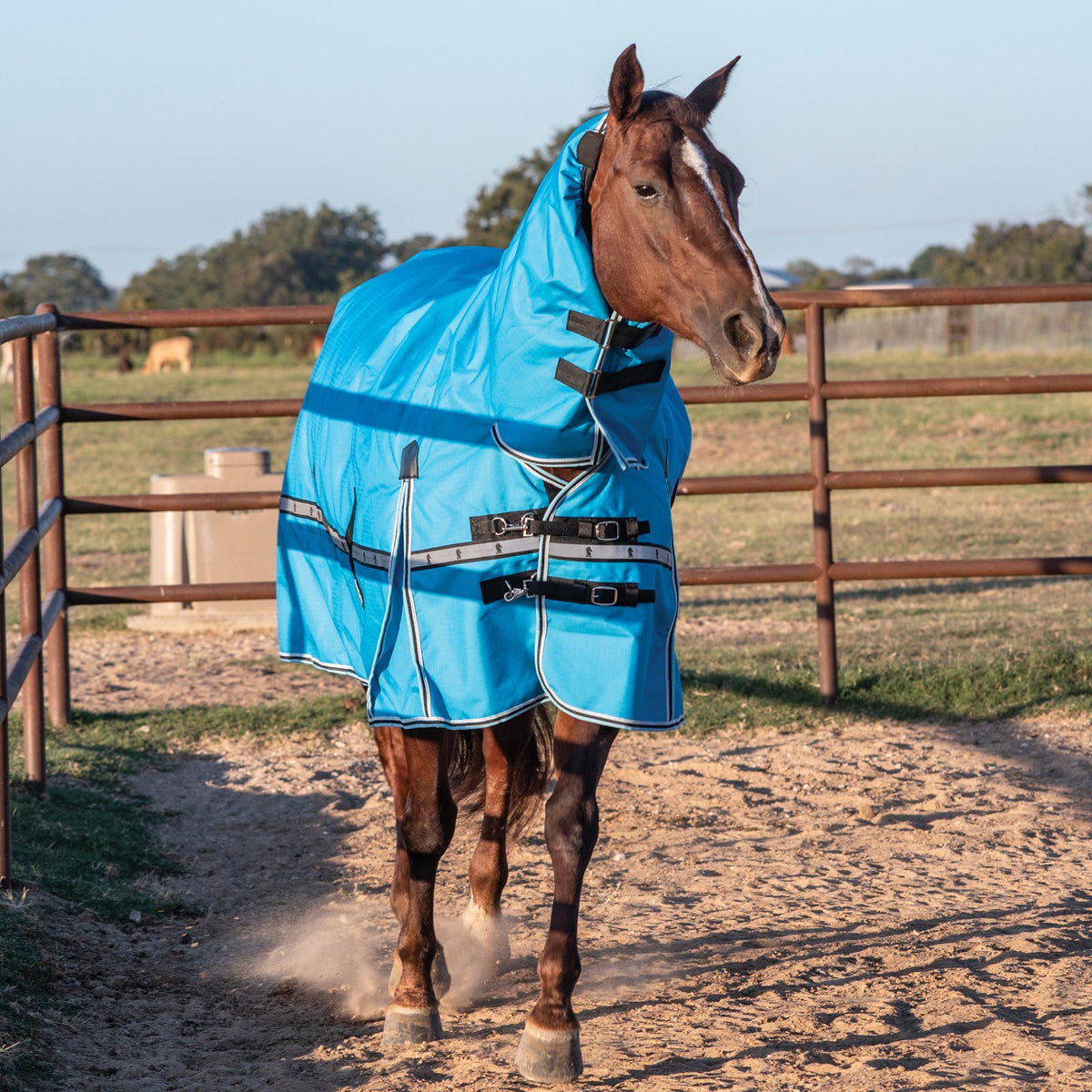 Classic Equine 10K Cross Trainer Turnout Blanket w/ Attached Hood- Aloha Blue