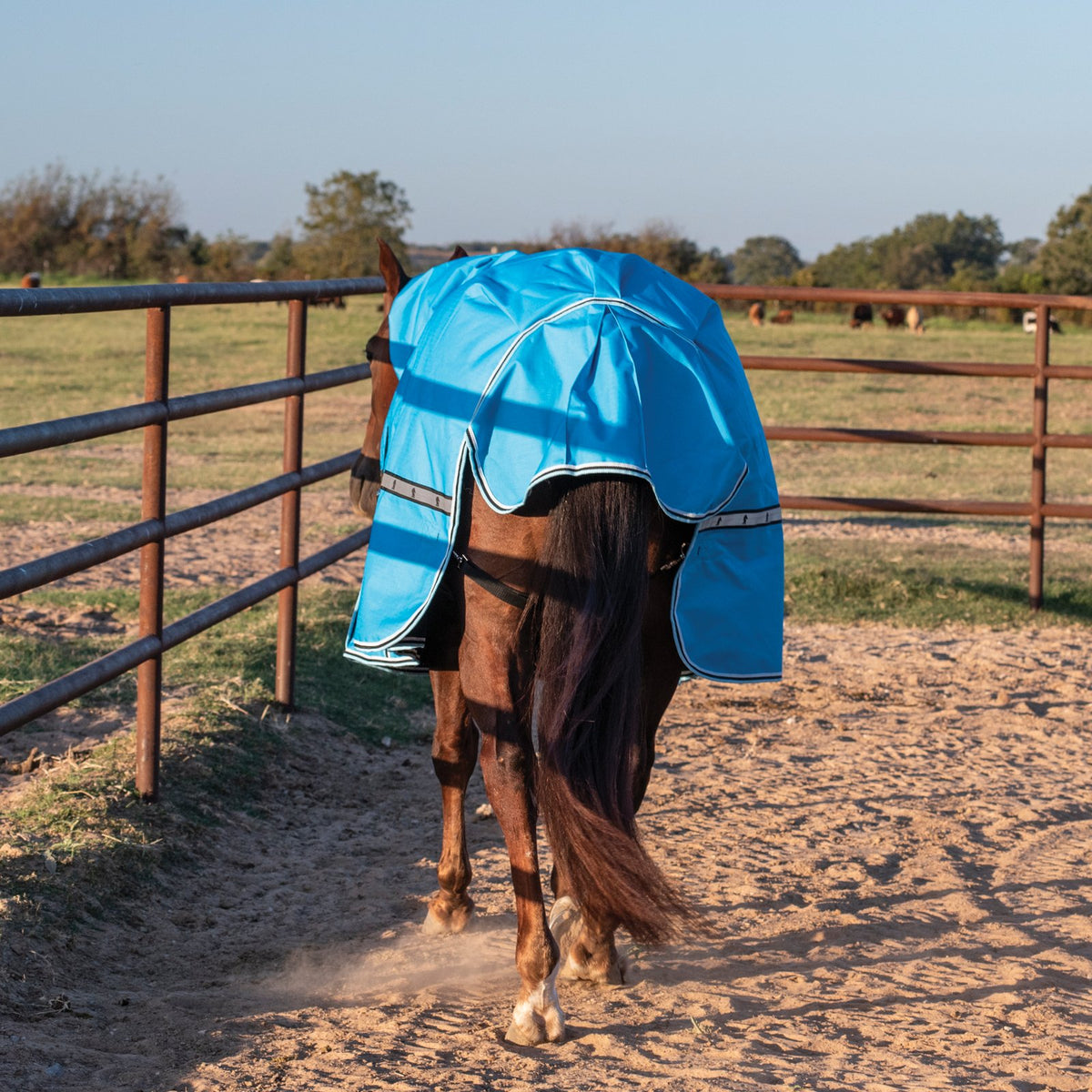 Classic Equine 10K Cross Trainer Turnout Blanket w/ Attached Hood- Aloha Blue