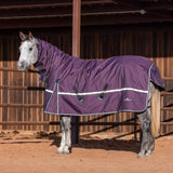 Classic Equine 10K Cross Trainer Turnout Blanket w/ Attached Hood- BlackBerry