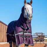 Classic Equine 10K Cross Trainer Turnout Blanket w/ Attached Hood- BlackBerry