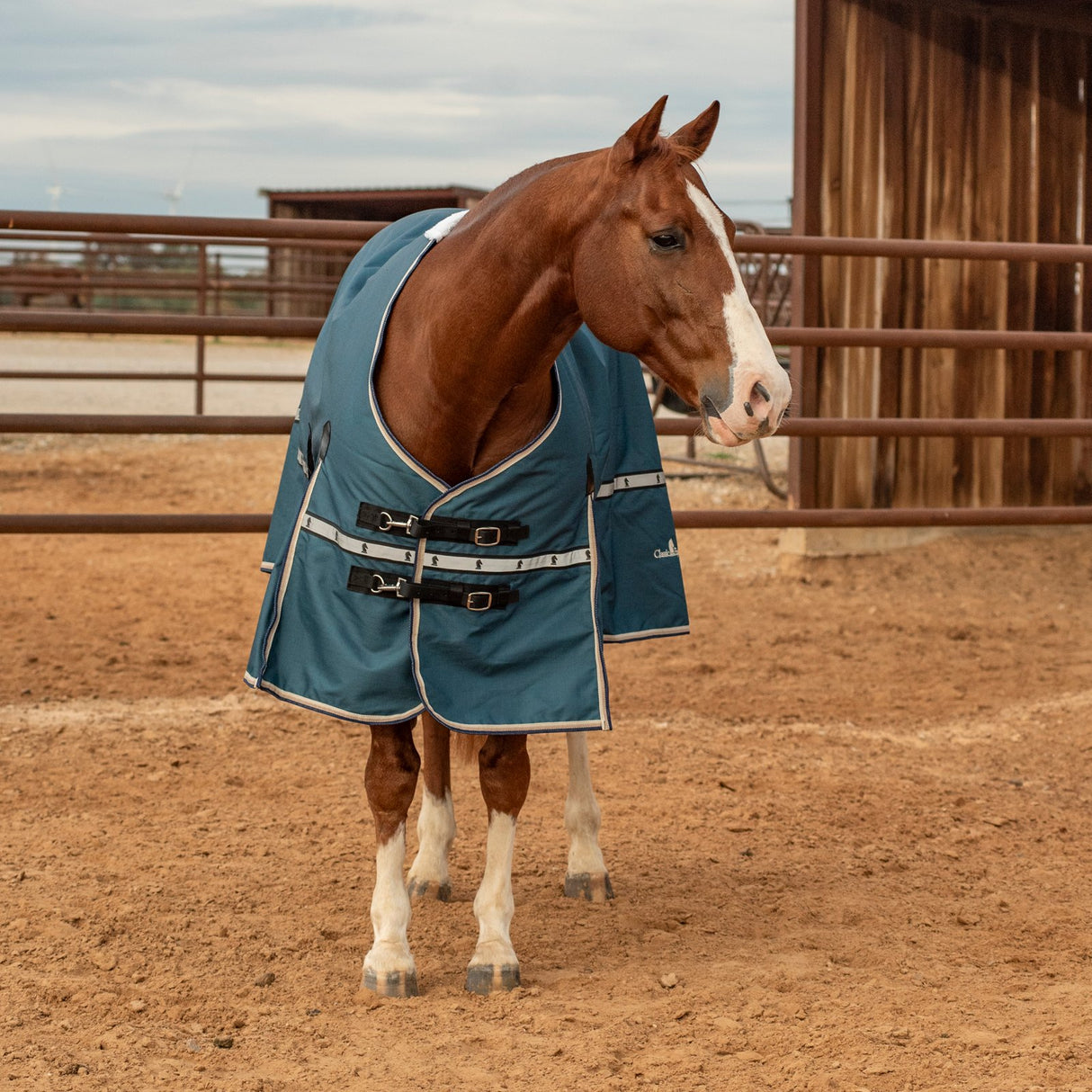 Classic Equine 5k Cross Trainer Turnout Blanket- Dark Teal