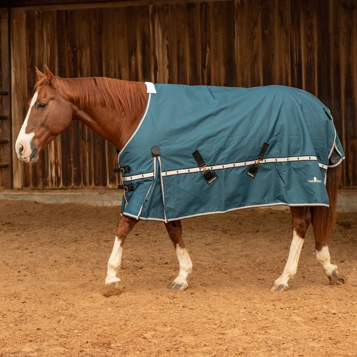 Classic Equine 5k Cross Trainer Turnout Blanket- Dark Teal