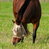 Cashel Econo Average Horse Sized Fly Mask