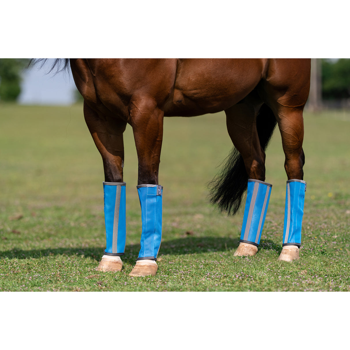 Professional's Choice Deluxe Fly Boots (4 Pack)- Pacific
