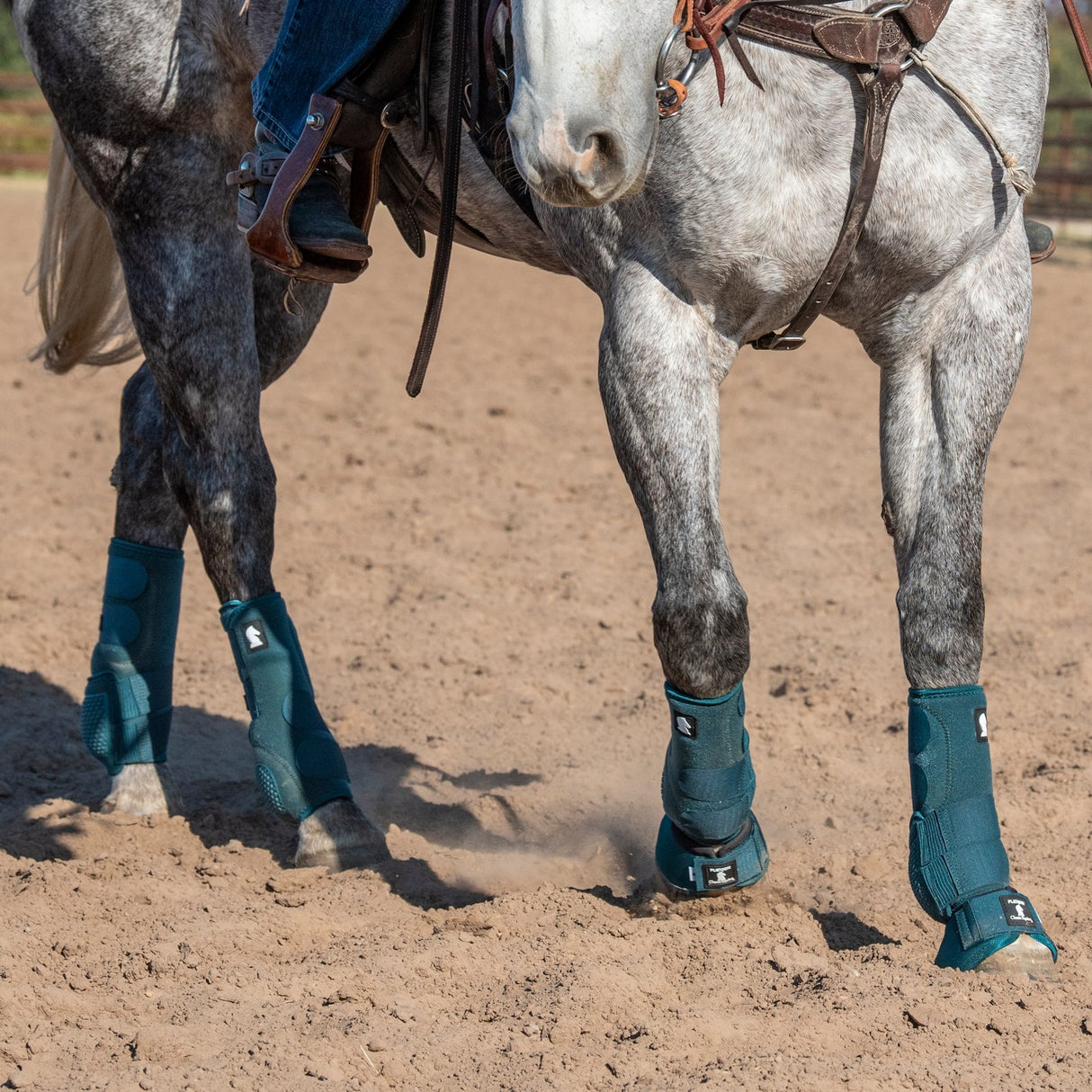 Classic Equine Flexion by Legacy Front Protective Boots- Dragonfly