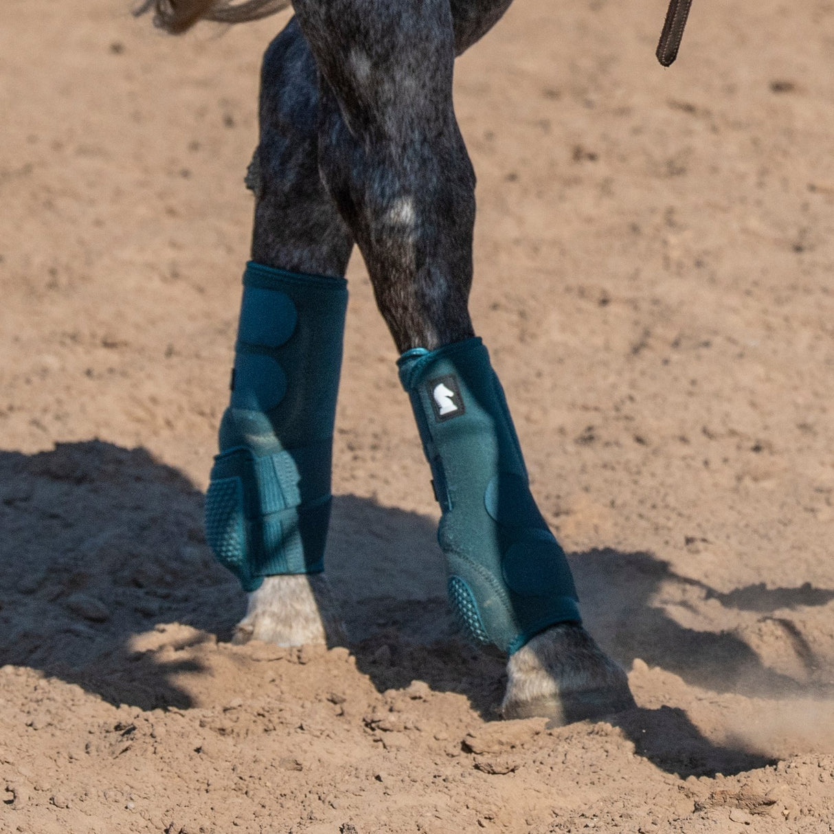 Classic Equine Flexion by Legacy Hind Protective Boots- Dragonfly