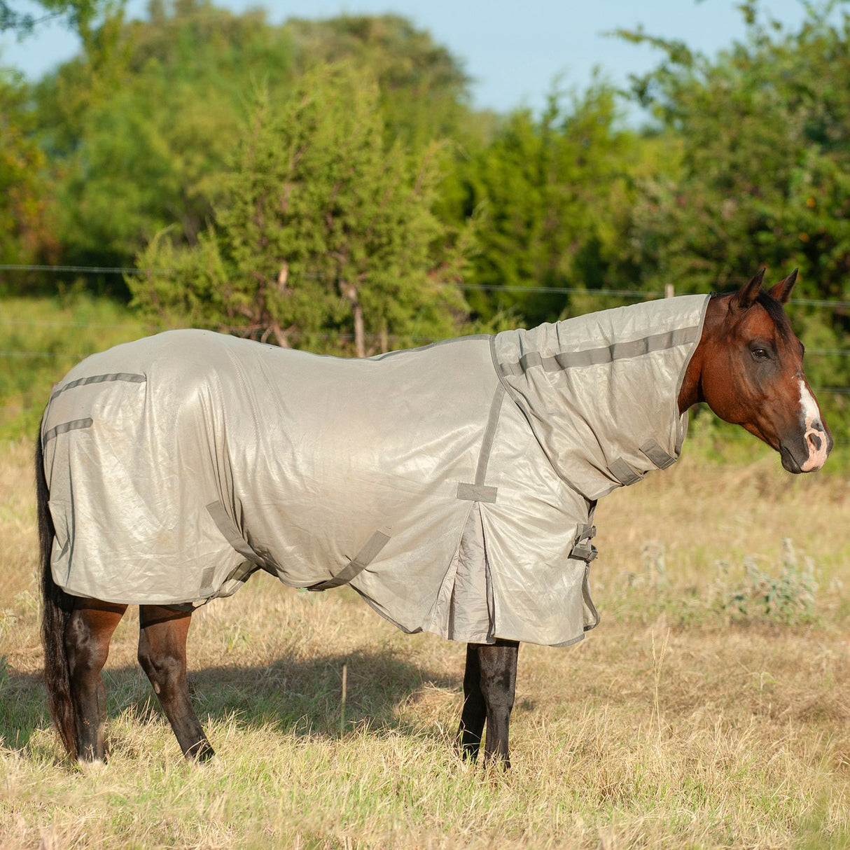 Cashel Econo Fly Sheet with Detachable Neck Guard