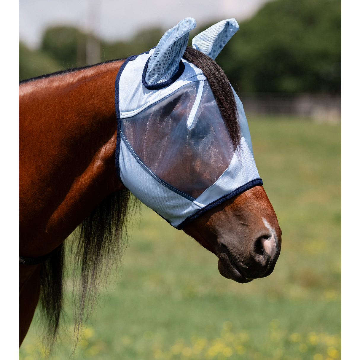 Professional's Choice Fly Screen Fly Mask- Sky Blue