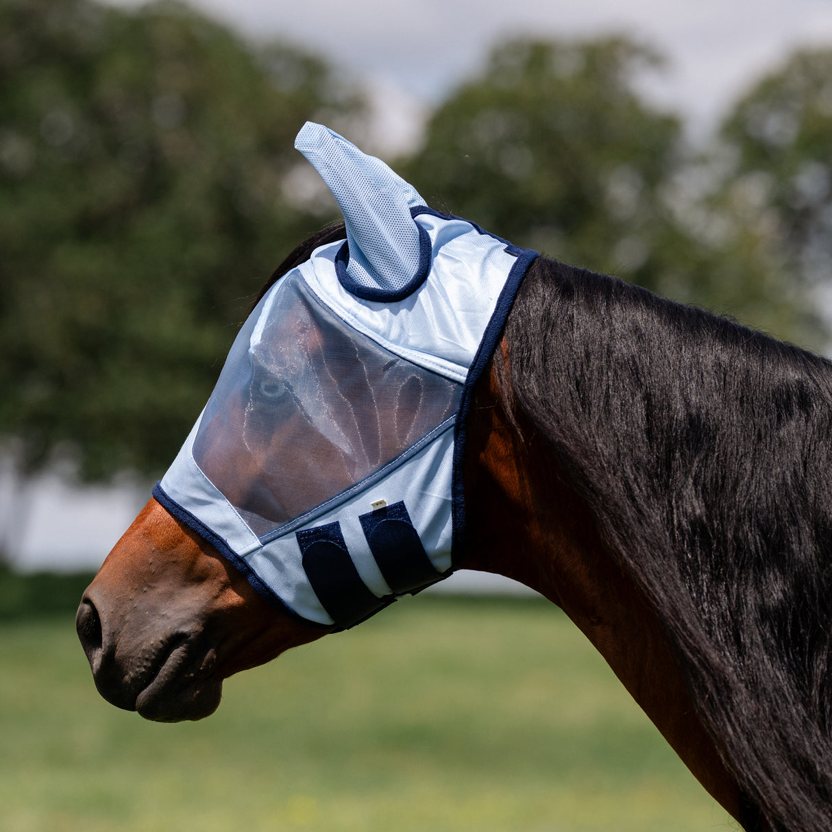 Professional's Choice Fly Screen Fly Mask- Sky Blue