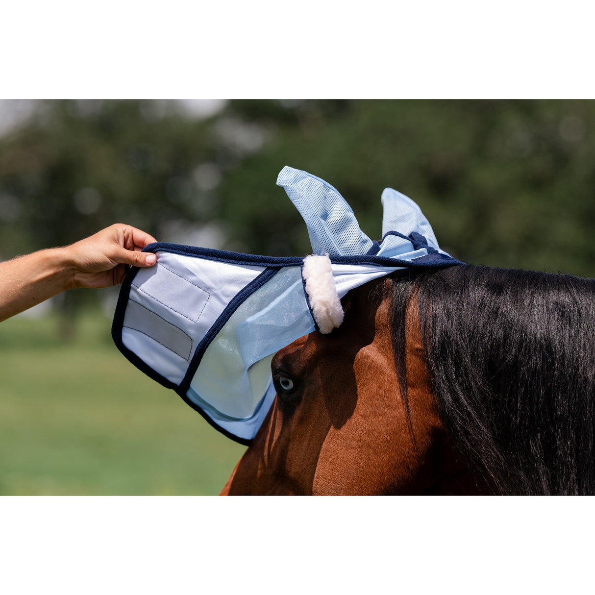 Professional's Choice Fly Screen Fly Mask- Sky Blue