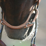 Martin Saddlery Harness Leather Curb Strap