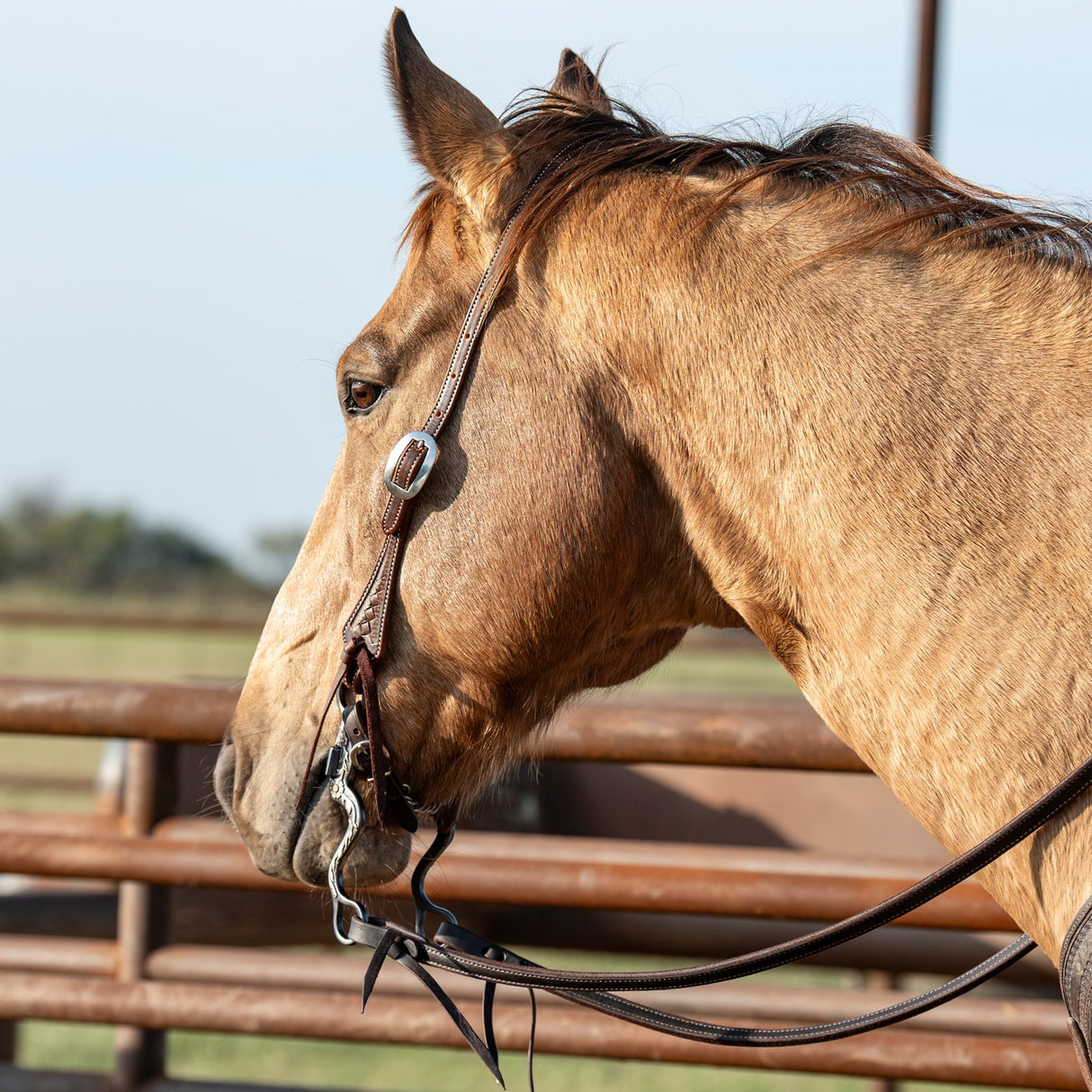Martin Saddlery Weathered Antique Basket Stamped Slip Ear Headstall