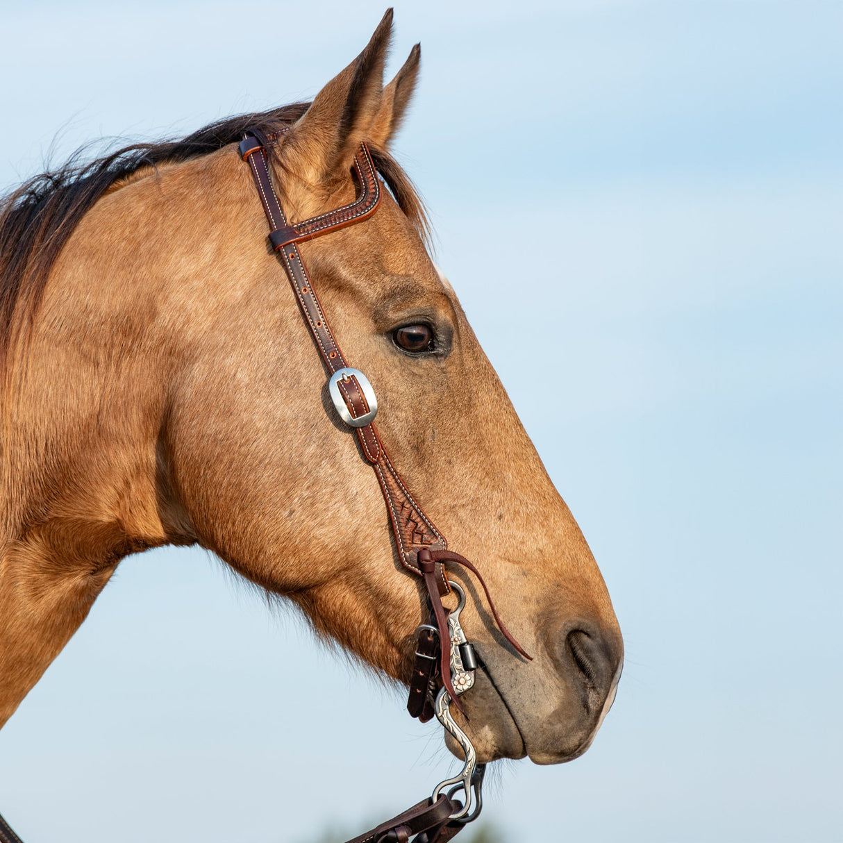 Martin Saddlery Weathered Antique Basket Stamped Slip Ear Headstall