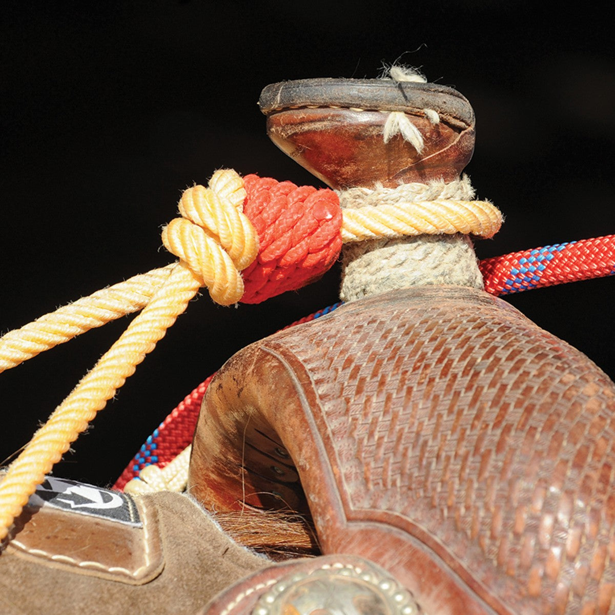 Rattler Ropes Braided Horn Knot