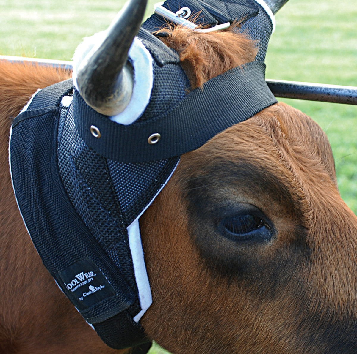 Classic Ropes Clear Vision Cool Wrap Horn Wrap- Black with Black Strap