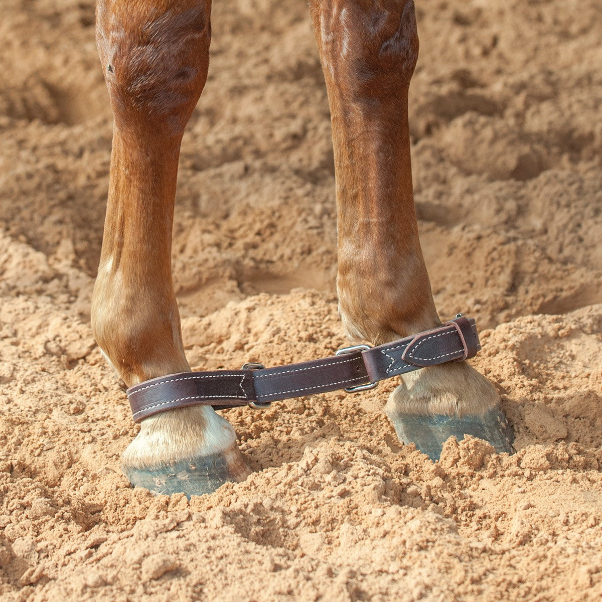 Martin Saddlery Latigo Leather Hobbles